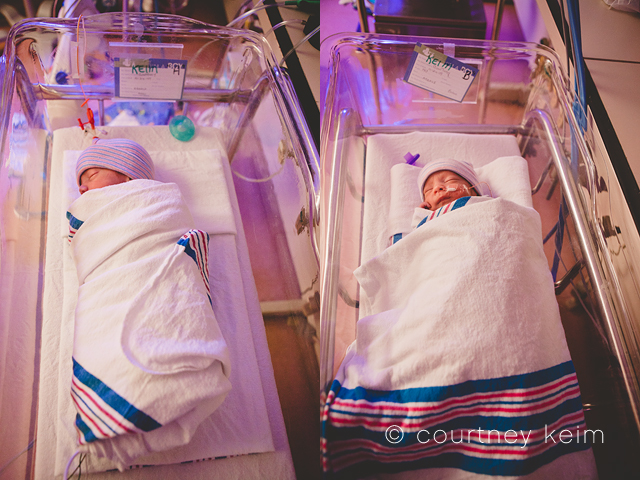 World Prematurity Day | Photographing NICU Babies photo