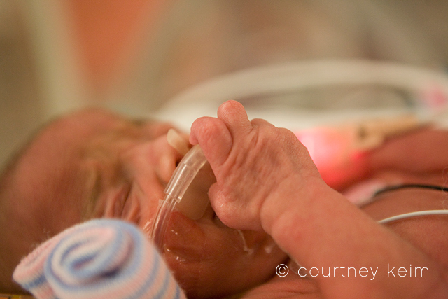 World Prematurity Day | Photographing NICU Babies photo