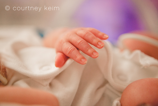 World Prematurity Day | Photographing NICU Babies photo